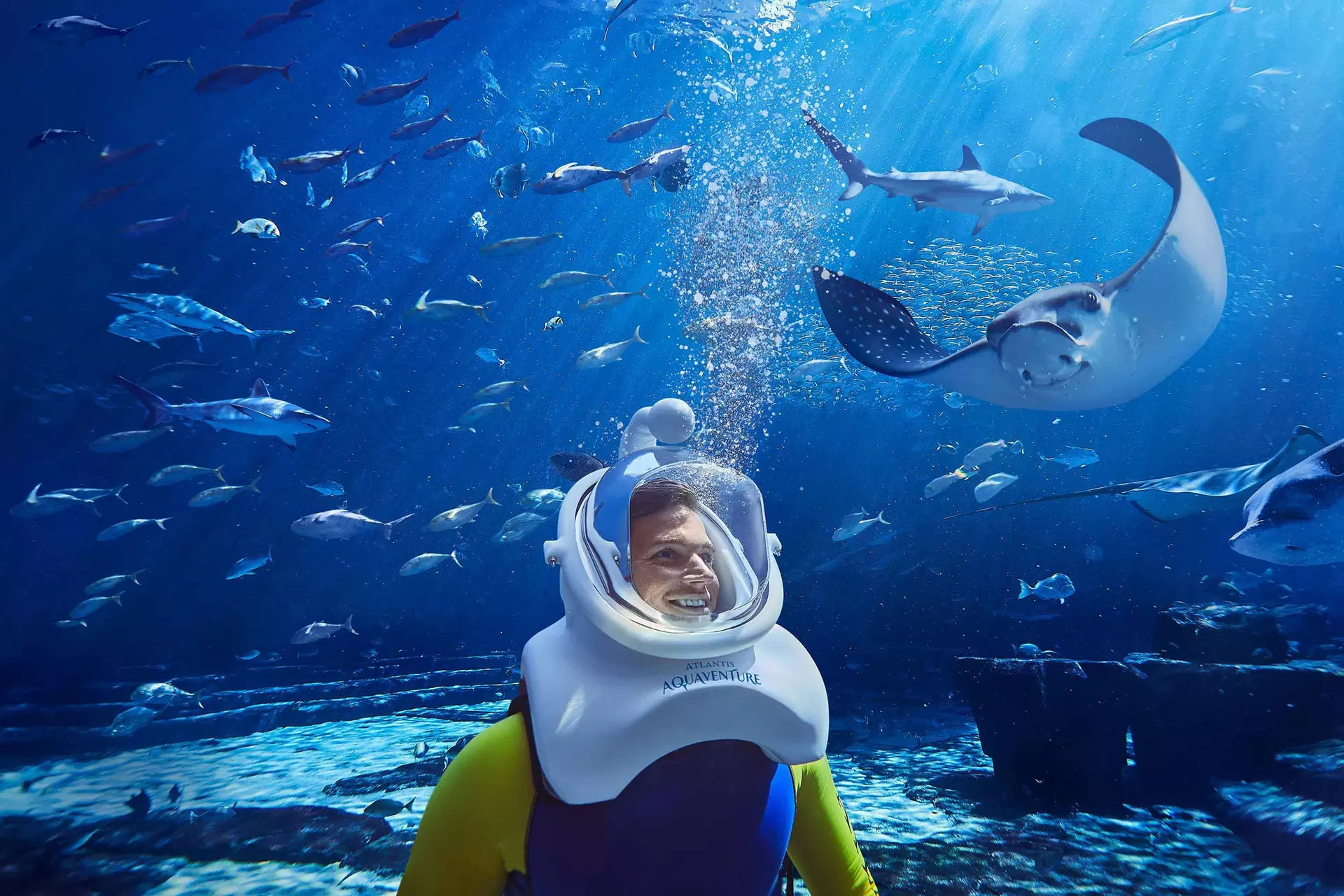 Guest snorkeling at Aquaventure