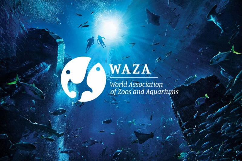WAZA Membership