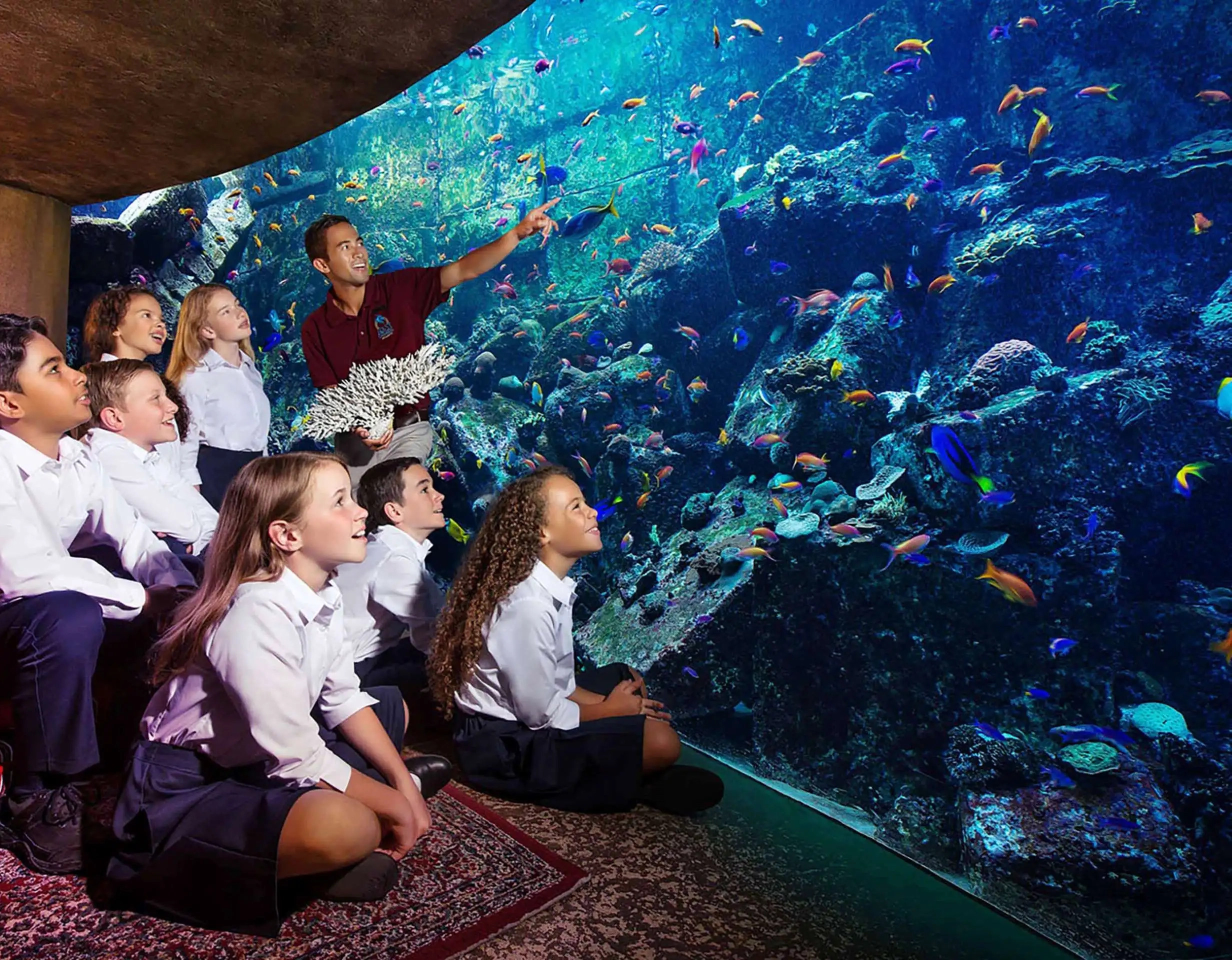 Lost World Aquarium