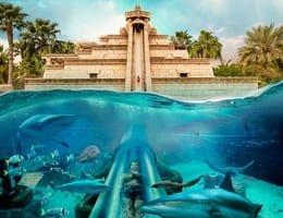 Dive Explorer